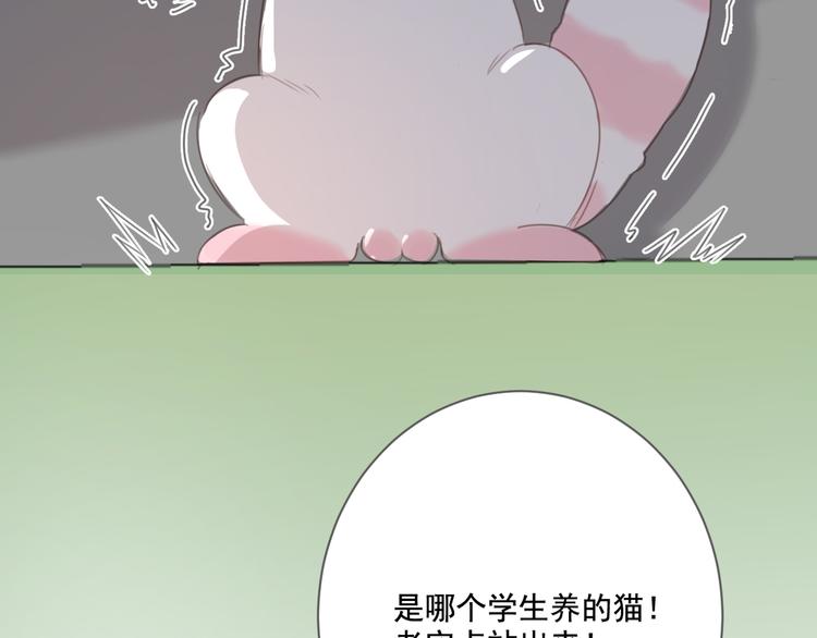 社会喵韩漫全集-第13话 猫主人何在！无删减无遮挡章节图片 