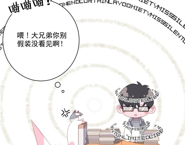 社会喵韩漫全集-第13话 猫主人何在！无删减无遮挡章节图片 