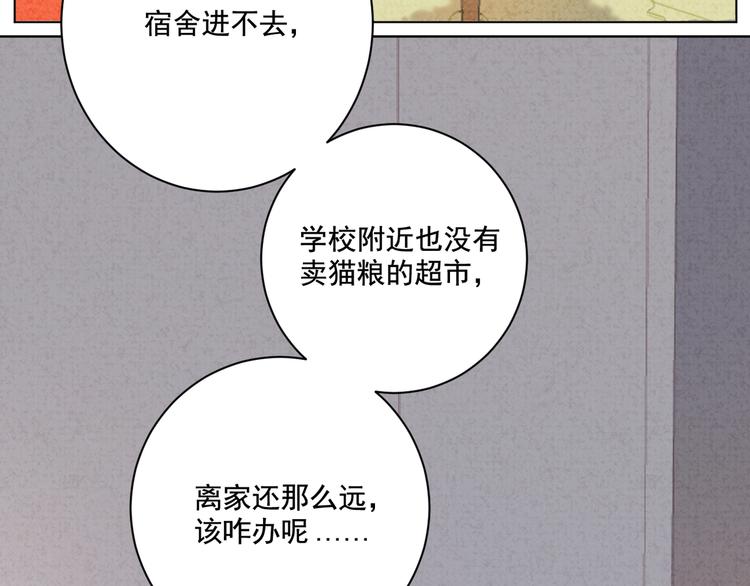 社会喵韩漫全集-第13话 猫主人何在！无删减无遮挡章节图片 