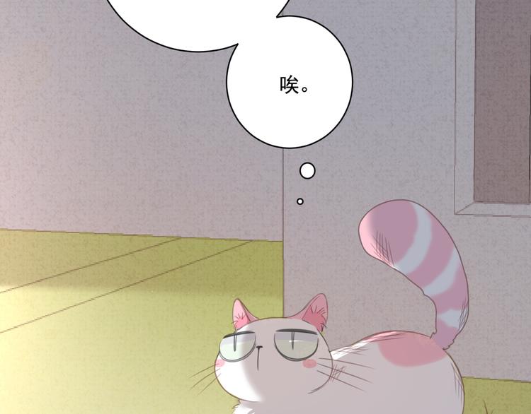 社会喵韩漫全集-第13话 猫主人何在！无删减无遮挡章节图片 