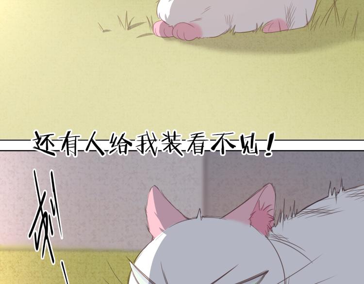 社会喵韩漫全集-第13话 猫主人何在！无删减无遮挡章节图片 