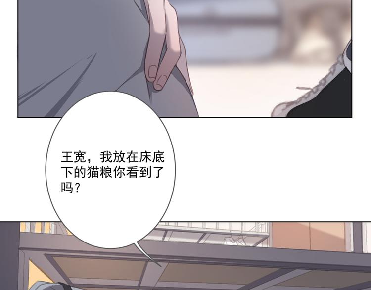 社会喵韩漫全集-第13话 猫主人何在！无删减无遮挡章节图片 