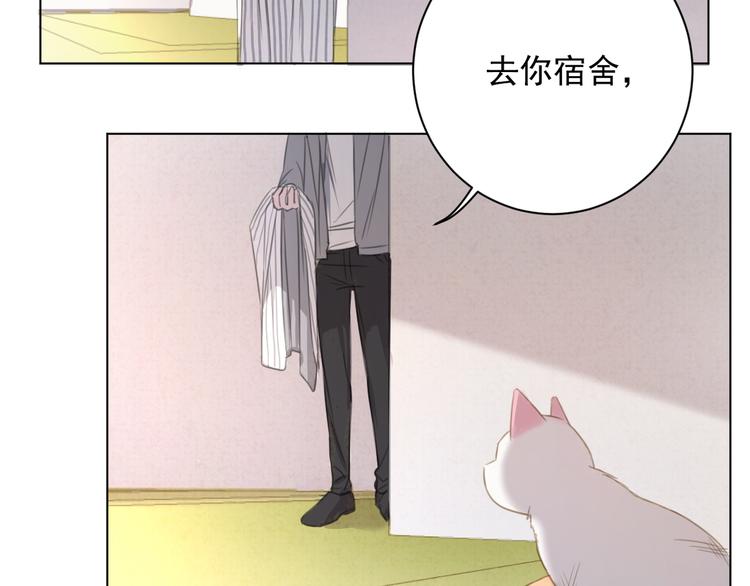 社会喵韩漫全集-第13话 猫主人何在！无删减无遮挡章节图片 
