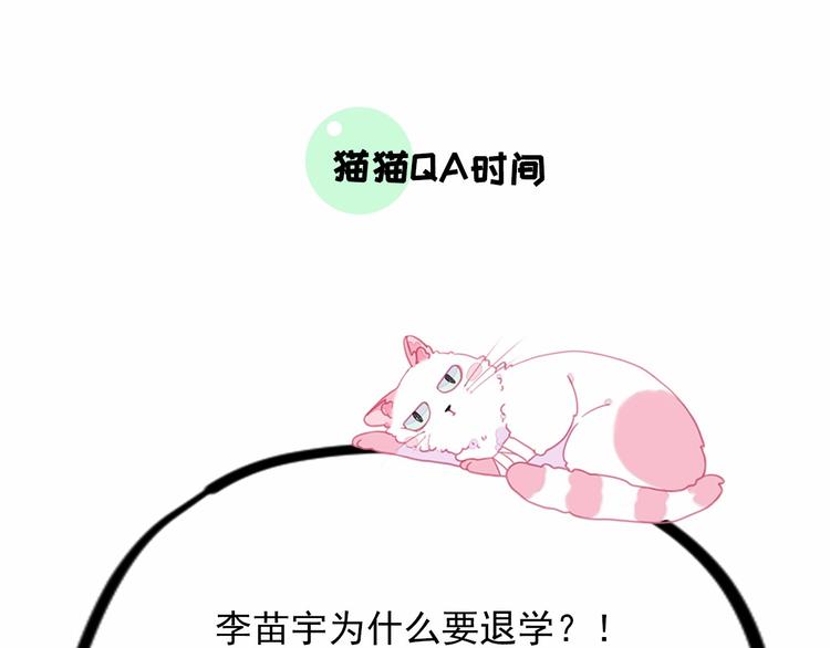 社会喵韩漫全集-第13话 猫主人何在！无删减无遮挡章节图片 