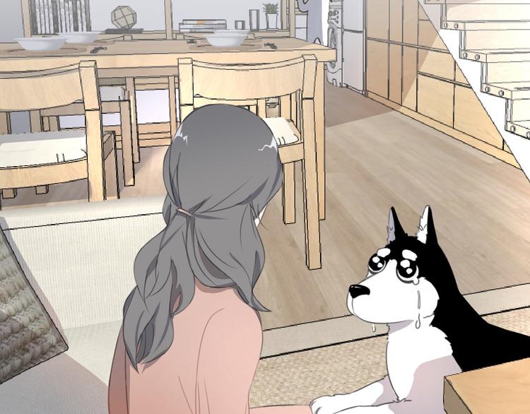 社会喵韩漫全集-第17话 新CP？！无删减无遮挡章节图片 