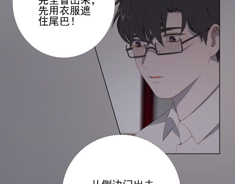 社会喵韩漫全集-第19话 尾巴露出来了无删减无遮挡章节图片 