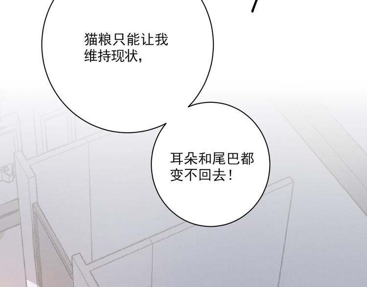 社会喵韩漫全集-第19话 尾巴露出来了无删减无遮挡章节图片 