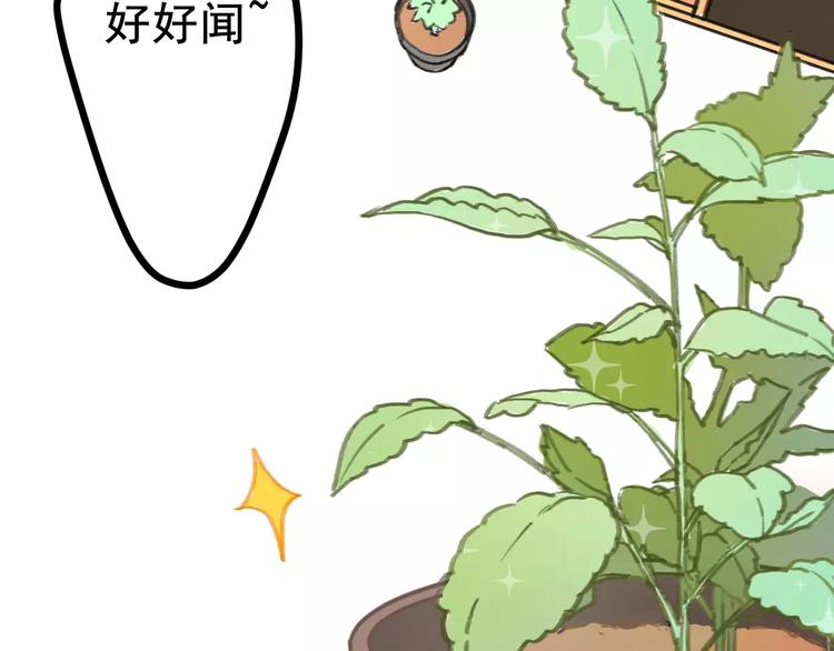 社会喵韩漫全集-第2+3话 猫奴主人的甜蜜陷阱无删减无遮挡章节图片 