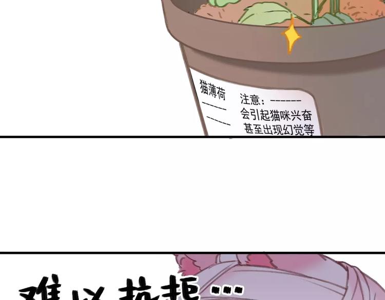 社会喵韩漫全集-第2+3话 猫奴主人的甜蜜陷阱无删减无遮挡章节图片 