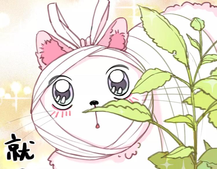 社会喵韩漫全集-第2+3话 猫奴主人的甜蜜陷阱无删减无遮挡章节图片 