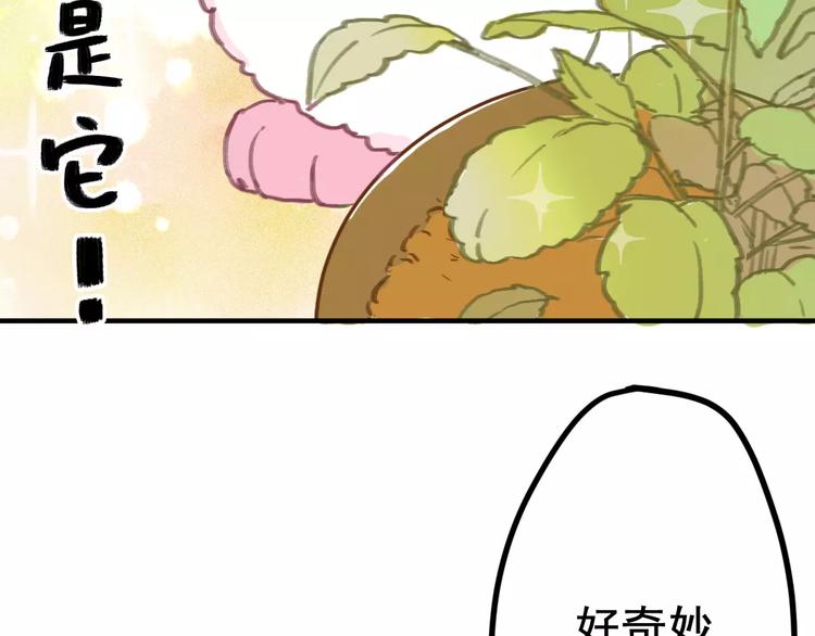 社会喵韩漫全集-第2+3话 猫奴主人的甜蜜陷阱无删减无遮挡章节图片 