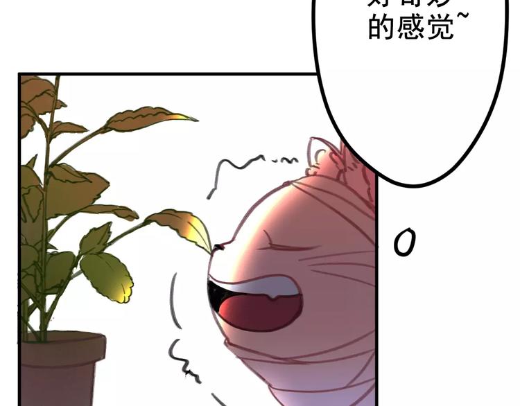 社会喵韩漫全集-第2+3话 猫奴主人的甜蜜陷阱无删减无遮挡章节图片 
