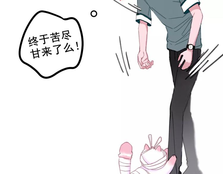 社会喵韩漫全集-第2+3话 猫奴主人的甜蜜陷阱无删减无遮挡章节图片 