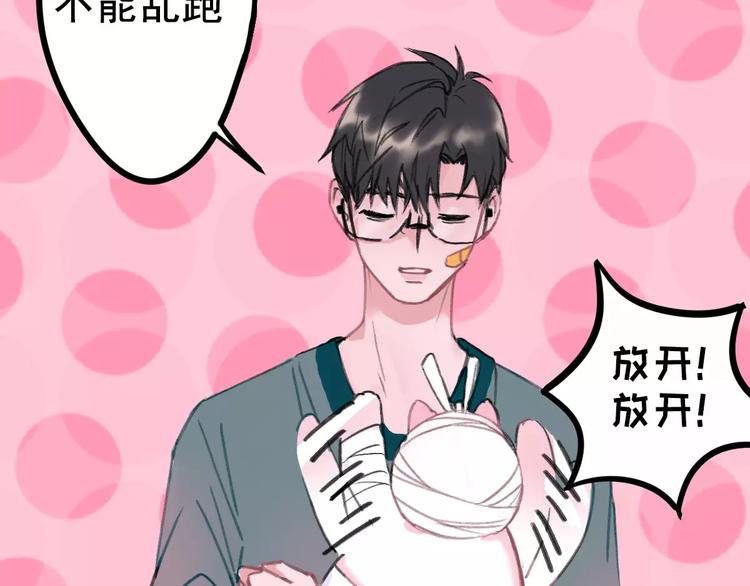 社会喵韩漫全集-第2+3话 猫奴主人的甜蜜陷阱无删减无遮挡章节图片 