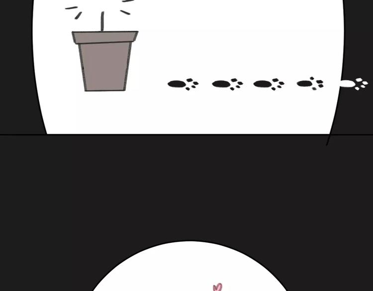 社会喵韩漫全集-第2+3话 猫奴主人的甜蜜陷阱无删减无遮挡章节图片 