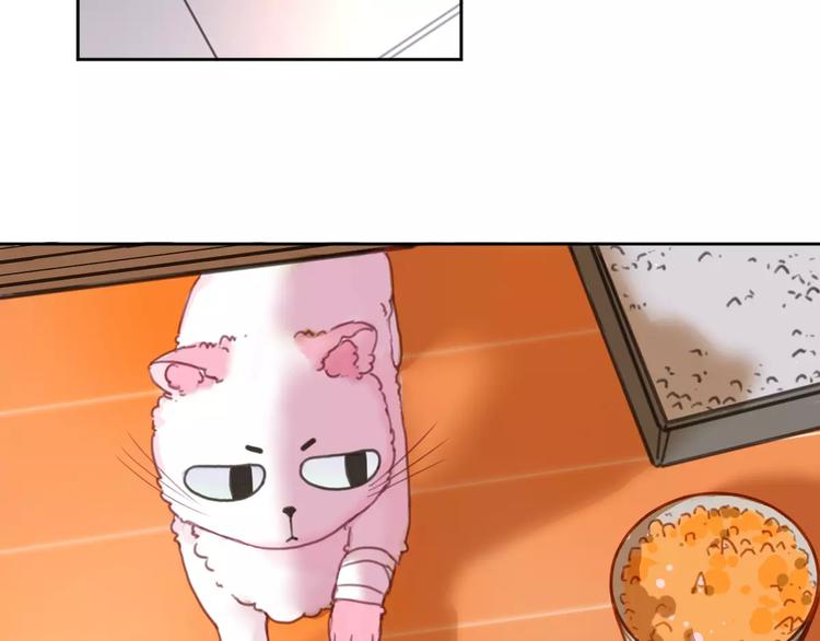 社会喵韩漫全集-第2+3话 猫奴主人的甜蜜陷阱无删减无遮挡章节图片 