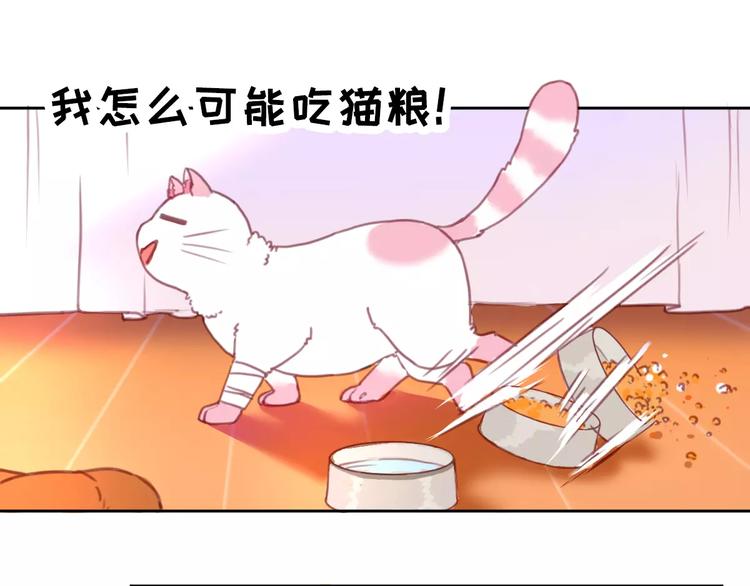 社会喵韩漫全集-第2+3话 猫奴主人的甜蜜陷阱无删减无遮挡章节图片 