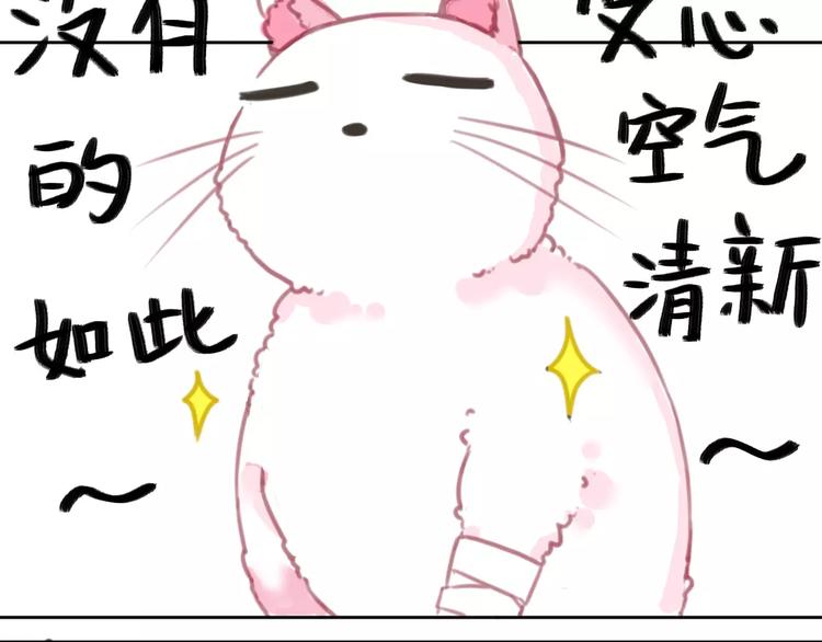 社会喵韩漫全集-第2+3话 猫奴主人的甜蜜陷阱无删减无遮挡章节图片 