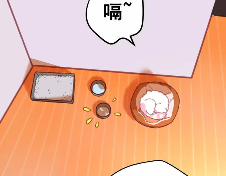 社会喵韩漫全集-第2+3话 猫奴主人的甜蜜陷阱无删减无遮挡章节图片 
