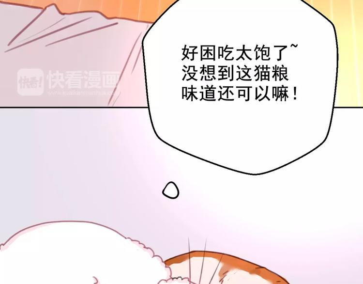 社会喵韩漫全集-第2+3话 猫奴主人的甜蜜陷阱无删减无遮挡章节图片 