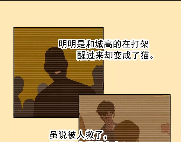 社会喵韩漫全集-第2+3话 猫奴主人的甜蜜陷阱无删减无遮挡章节图片 
