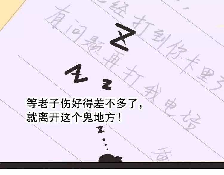 社会喵韩漫全集-第2+3话 猫奴主人的甜蜜陷阱无删减无遮挡章节图片 