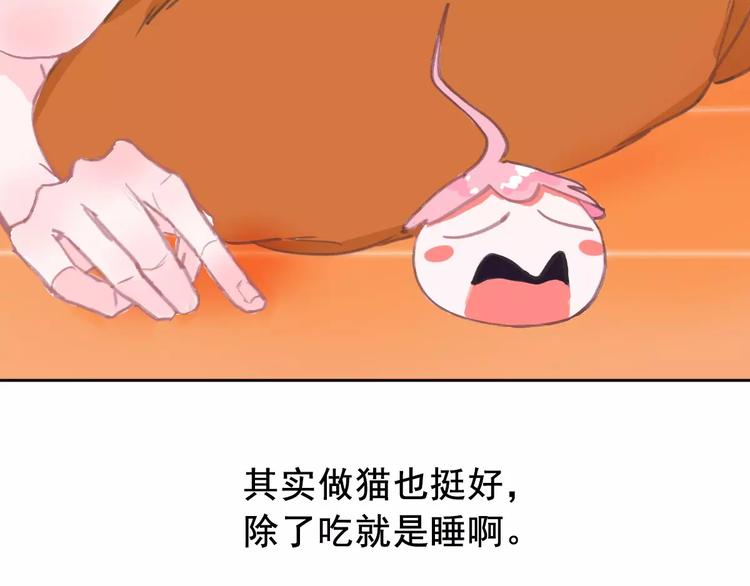 社会喵韩漫全集-第2+3话 猫奴主人的甜蜜陷阱无删减无遮挡章节图片 