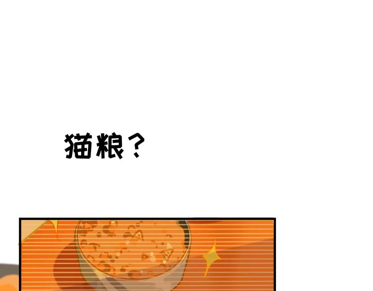 社会喵韩漫全集-第2+3话 猫奴主人的甜蜜陷阱无删减无遮挡章节图片 