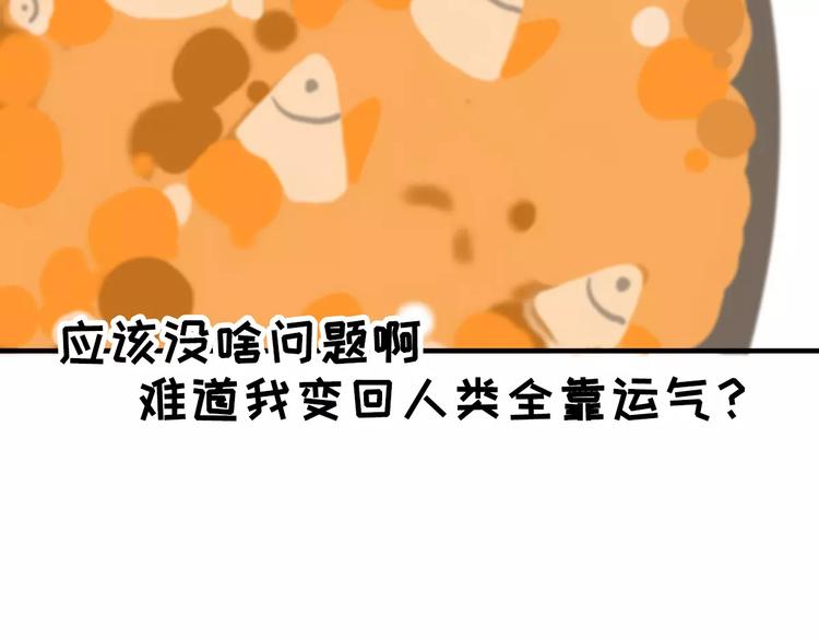 社会喵韩漫全集-第2+3话 猫奴主人的甜蜜陷阱无删减无遮挡章节图片 