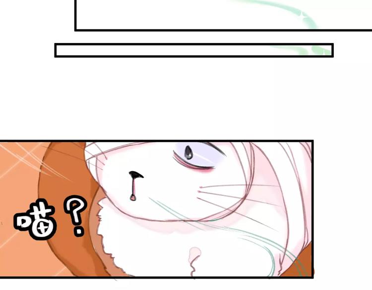 社会喵韩漫全集-第2+3话 猫奴主人的甜蜜陷阱无删减无遮挡章节图片 