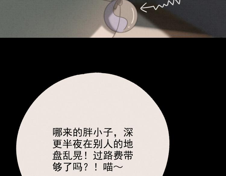 社会喵韩漫全集-第27话 万猫之首无删减无遮挡章节图片 