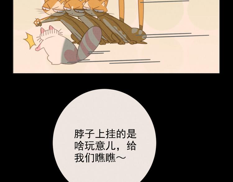 社会喵韩漫全集-第27话 万猫之首无删减无遮挡章节图片 