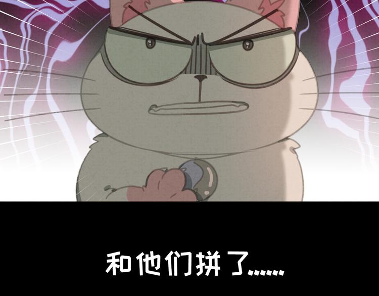 社会喵韩漫全集-第27话 万猫之首无删减无遮挡章节图片 