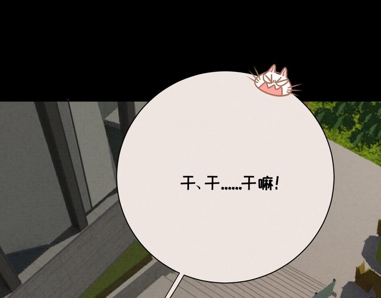 社会喵韩漫全集-第27话 万猫之首无删减无遮挡章节图片 