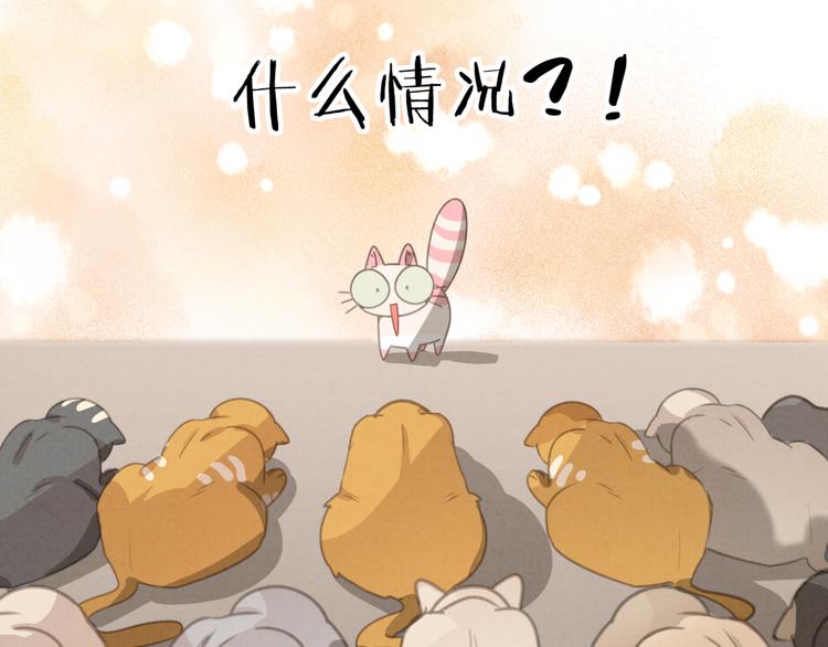 社会喵韩漫全集-第27话 万猫之首无删减无遮挡章节图片 