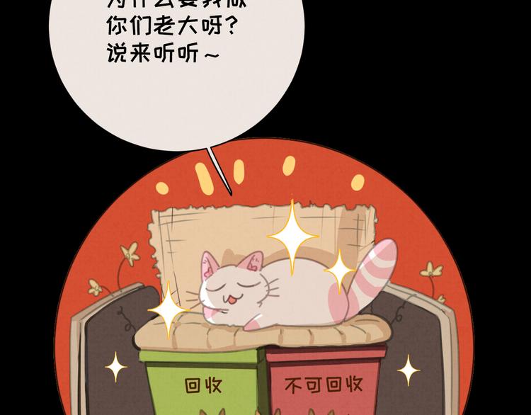 社会喵韩漫全集-第27话 万猫之首无删减无遮挡章节图片 