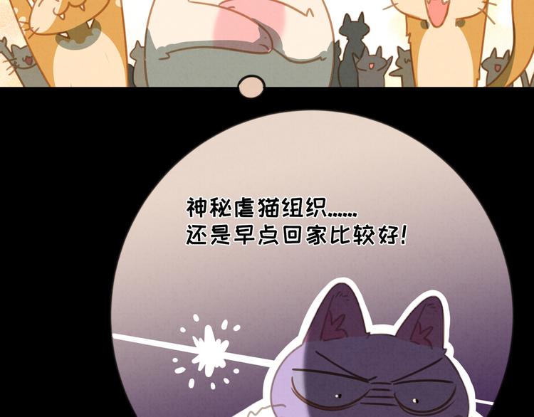 社会喵韩漫全集-第27话 万猫之首无删减无遮挡章节图片 