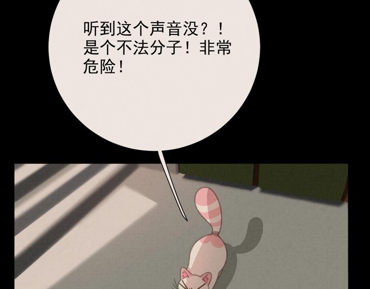 社会喵韩漫全集-第27话 万猫之首无删减无遮挡章节图片 