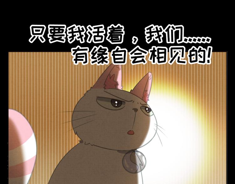 社会喵韩漫全集-第27话 万猫之首无删减无遮挡章节图片 