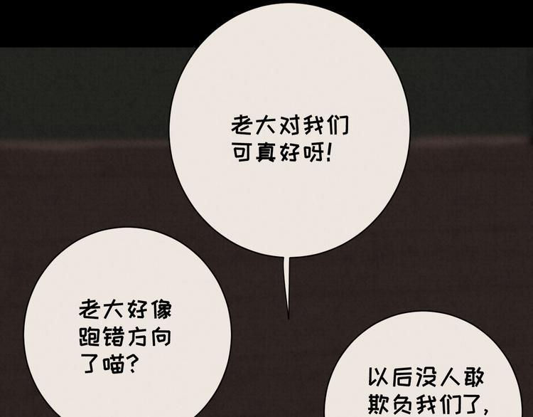 社会喵韩漫全集-第27话 万猫之首无删减无遮挡章节图片 