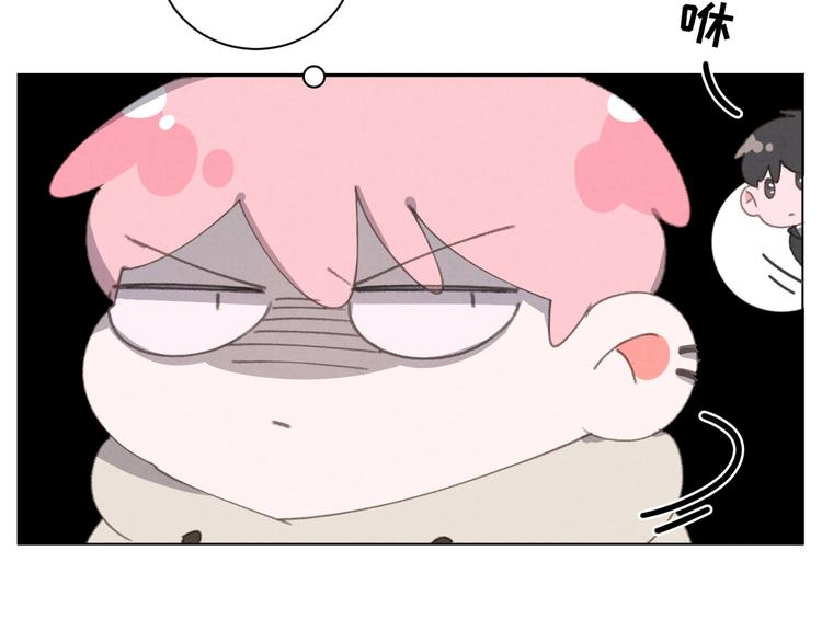 社会喵韩漫全集-第29话 自由活动无删减无遮挡章节图片 