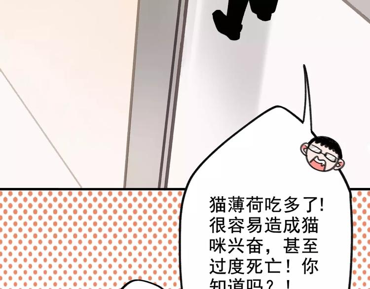 社会喵韩漫全集-第4话 别当我是病喵无删减无遮挡章节图片 