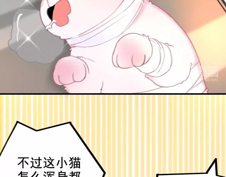 社会喵韩漫全集-第4话 别当我是病喵无删减无遮挡章节图片 