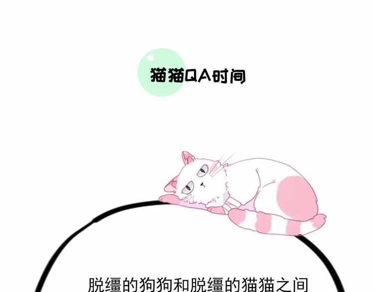 社会喵韩漫全集-第4话 别当我是病喵无删减无遮挡章节图片 