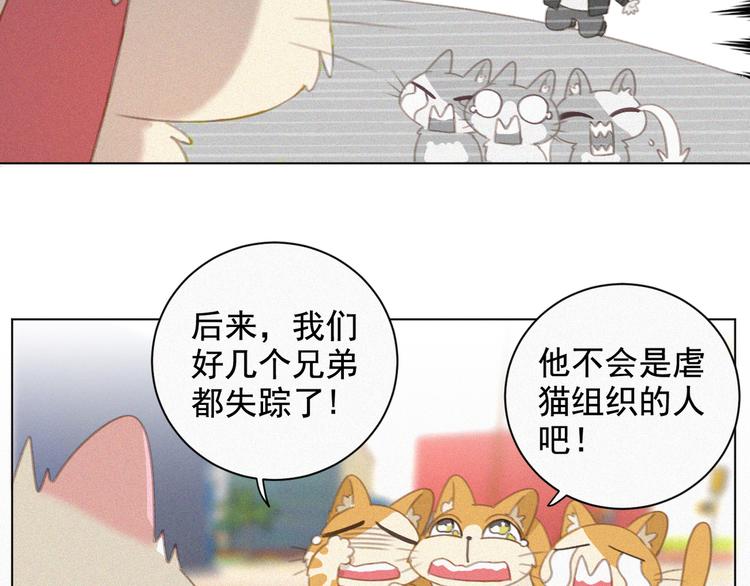 社会喵韩漫全集-第33话 我的情敌是只猫？无删减无遮挡章节图片 