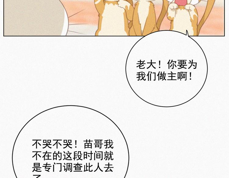 社会喵韩漫全集-第33话 我的情敌是只猫？无删减无遮挡章节图片 