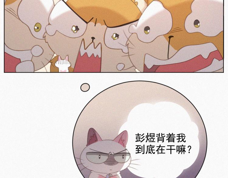 社会喵韩漫全集-第33话 我的情敌是只猫？无删减无遮挡章节图片 