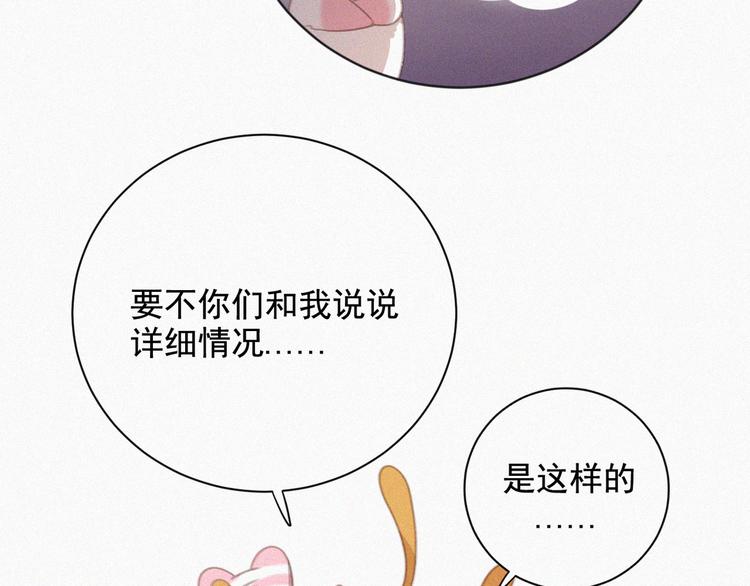 社会喵韩漫全集-第33话 我的情敌是只猫？无删减无遮挡章节图片 