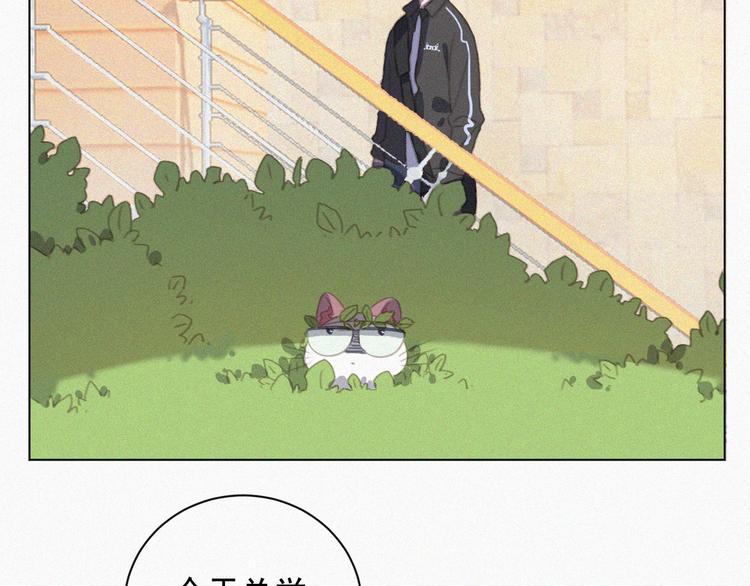 社会喵韩漫全集-第33话 我的情敌是只猫？无删减无遮挡章节图片 