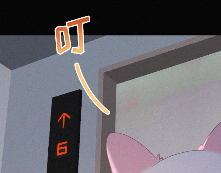 社会喵韩漫全集-第33话 我的情敌是只猫？无删减无遮挡章节图片 